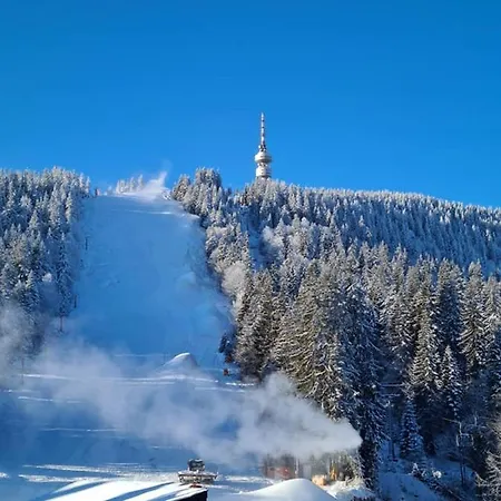 студиа студенец Apartment