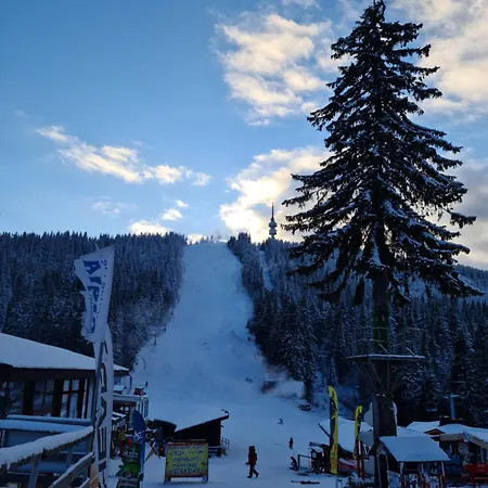 студиа студенец Apartment *