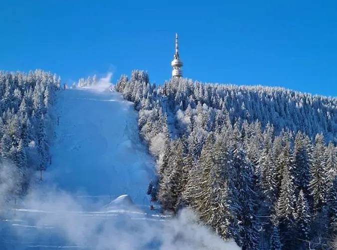 студиа студенец Apartment