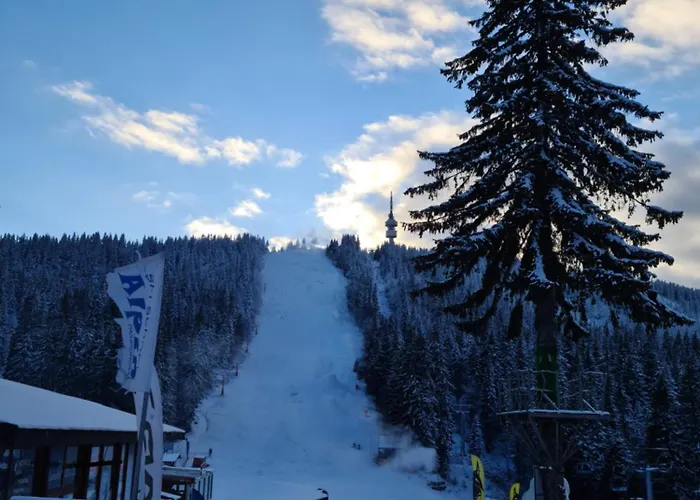 студиа студенец Appartamento *