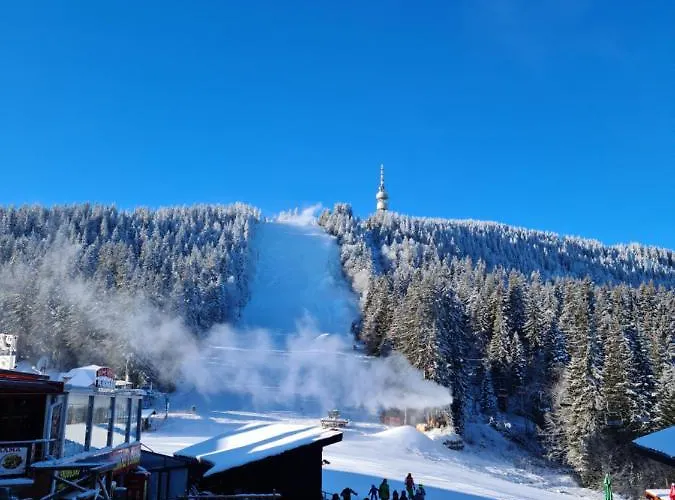 студиа студенец Apartment Smolyan