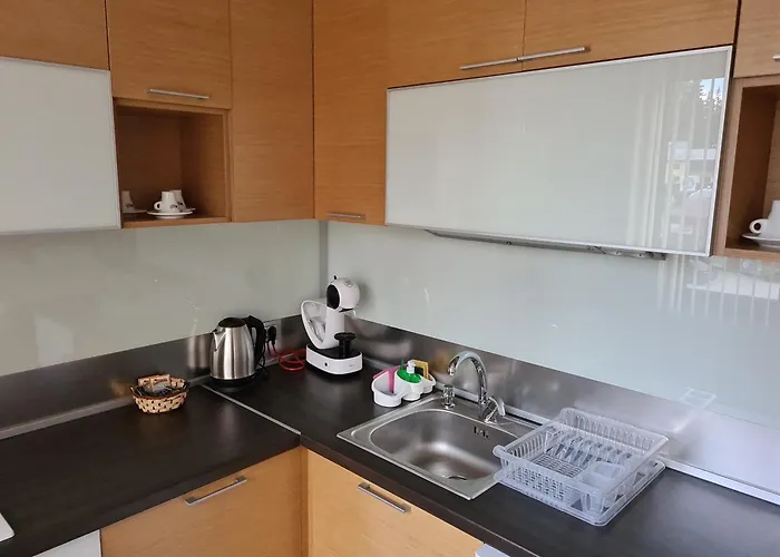 студиа студенец Smoljan